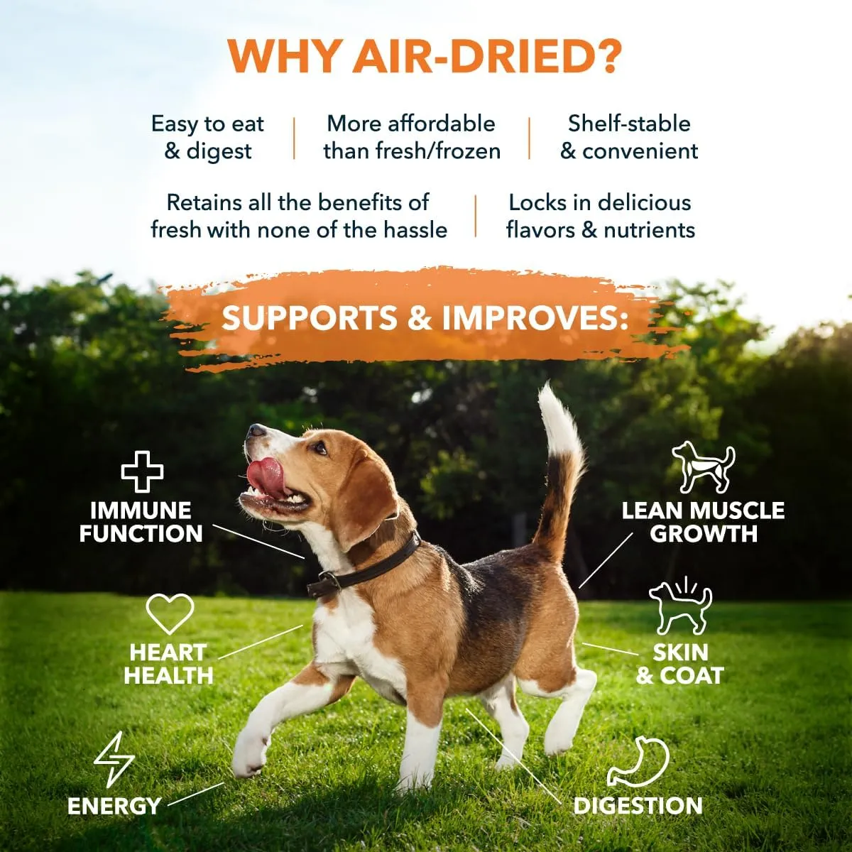 100% Human Grade Air Dried Dog Food - All Natural - USA Grass Fed Beef - Limited Ingredient - Grain Free - Dehydrated - Complete Meal or Topper Beef Flavor - 14.6 lb