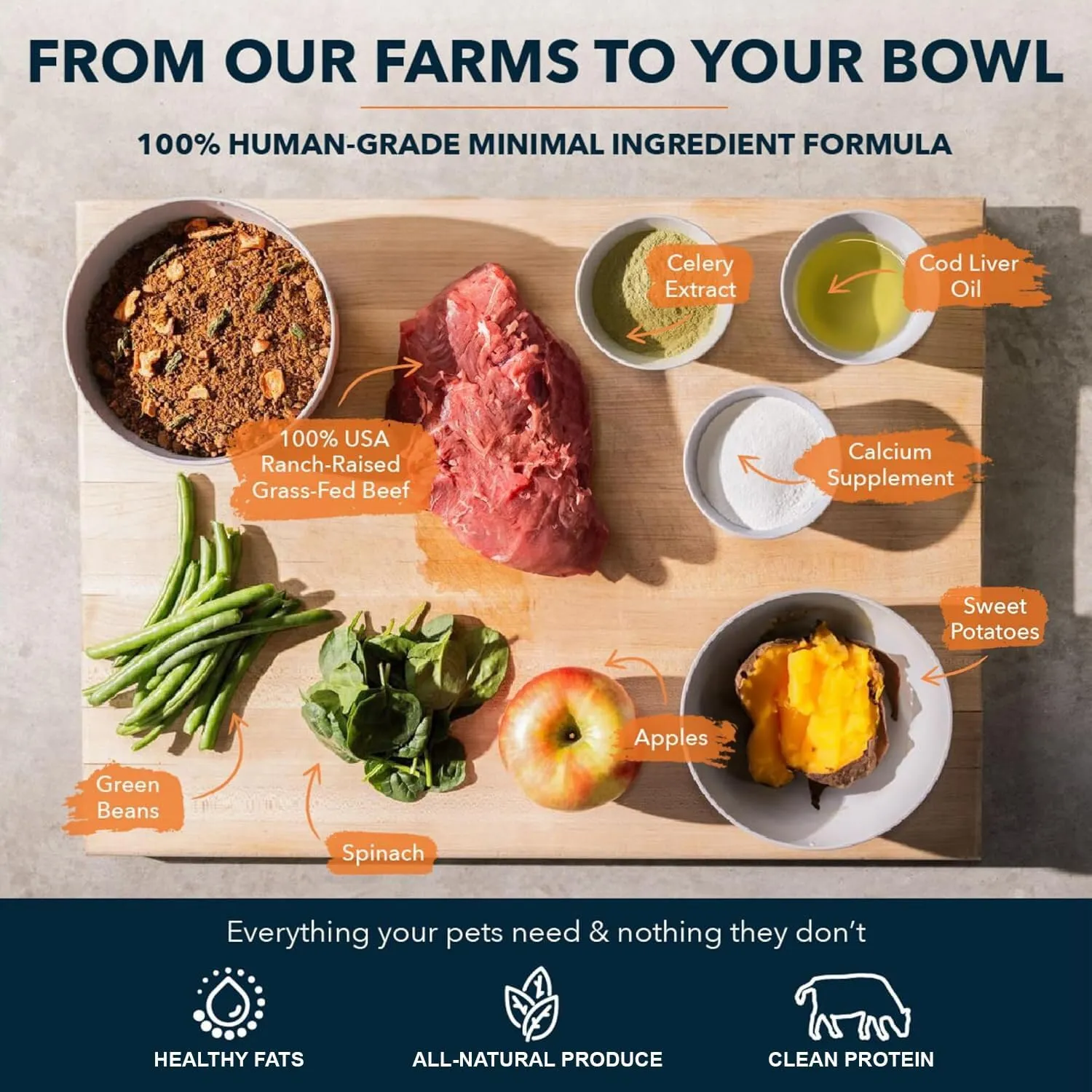 100% Human Grade Air Dried Dog Food - All Natural - USA Grass Fed Beef - Limited Ingredient - Grain Free - Dehydrated - Complete Meal or Topper Beef Flavor - 14.6 lb