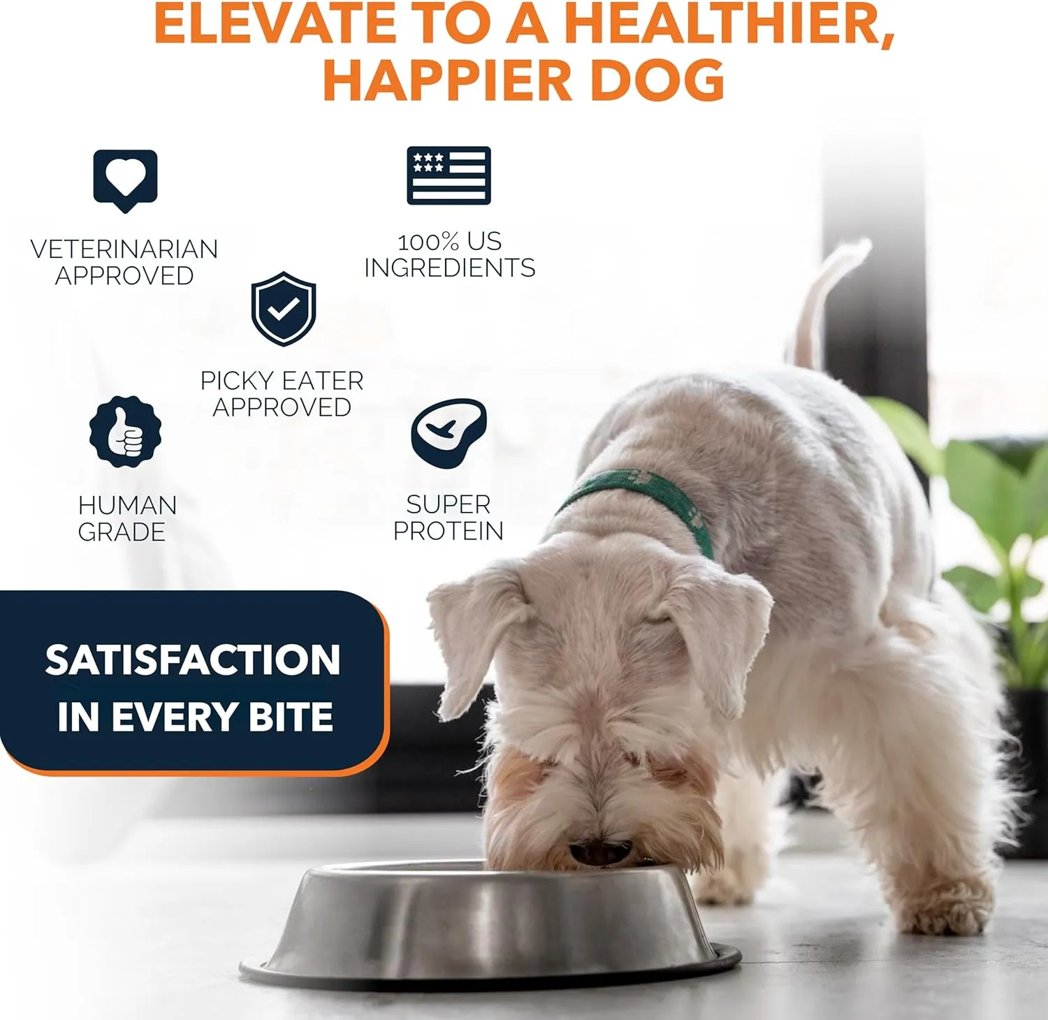 100% Human Grade Air Dried Dog Food - All Natural - USA Grass Fed Beef - Limited Ingredient - Grain Free - Dehydrated - Complete Meal or Topper Beef Flavor - 3.65 lb