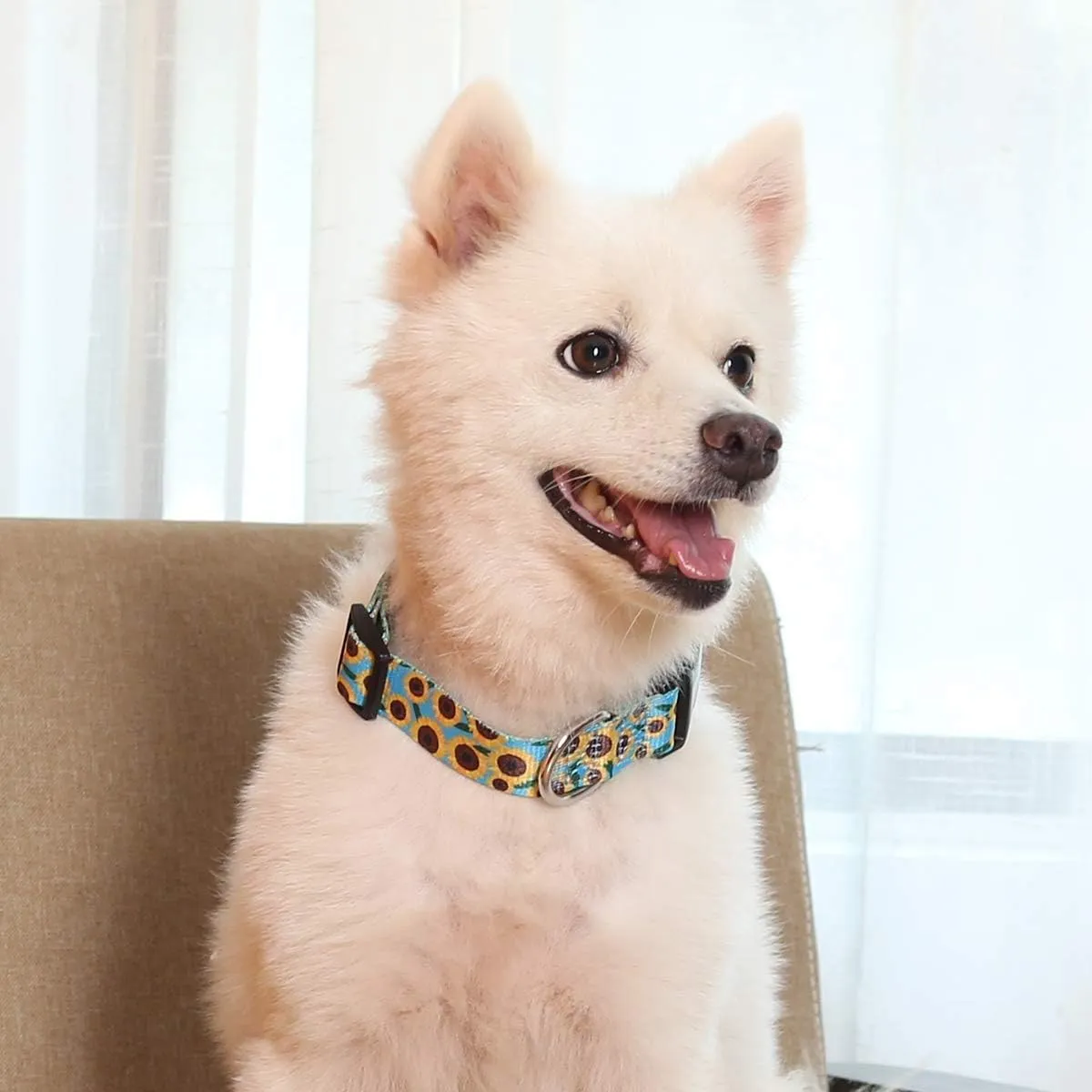 2PCS Sunflower Dog Collars and Pet Floral Leash Set Puppy Adjustable Collars for Small Medium Large Dogs Boys Girls (X-Large)