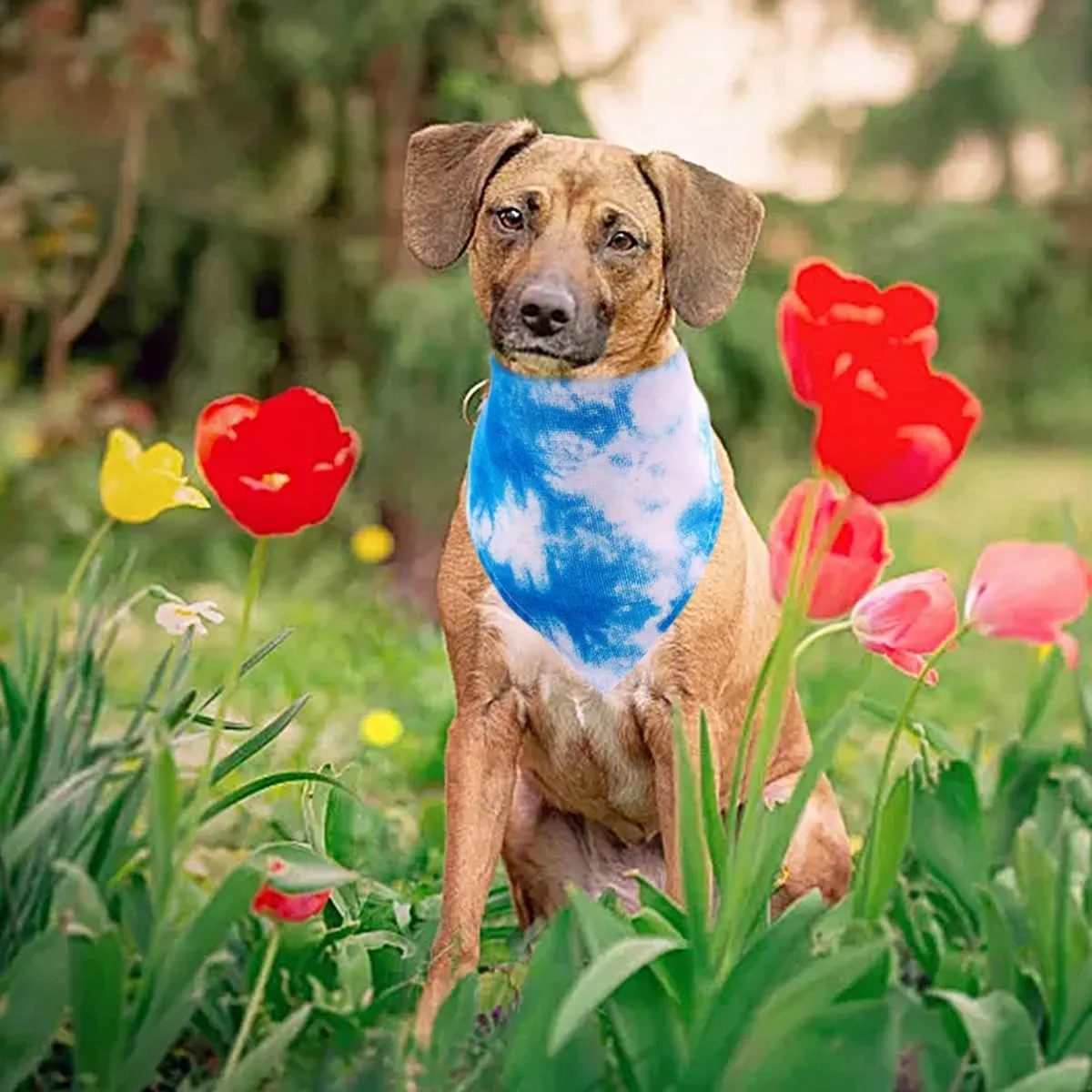 50PCS Dog Bandanas Tie Dye Bulk for Large XL Breed Dog Big Bandanas Pack Kerchief Washable Triangle Bibs Head Scarves Scarfs for Boys and Girls Grooming Accessories Costume