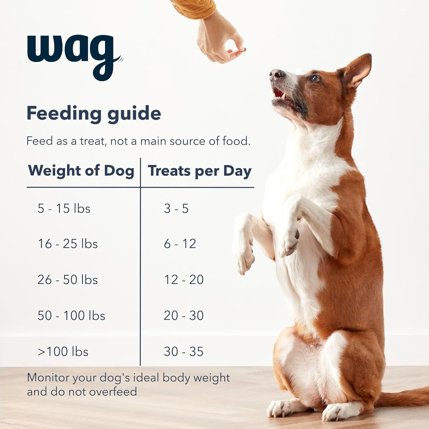 Amazon Brand  Wag Chicken Flavor Training Treats for Dogs, 1 lb. Bag (16 oz)