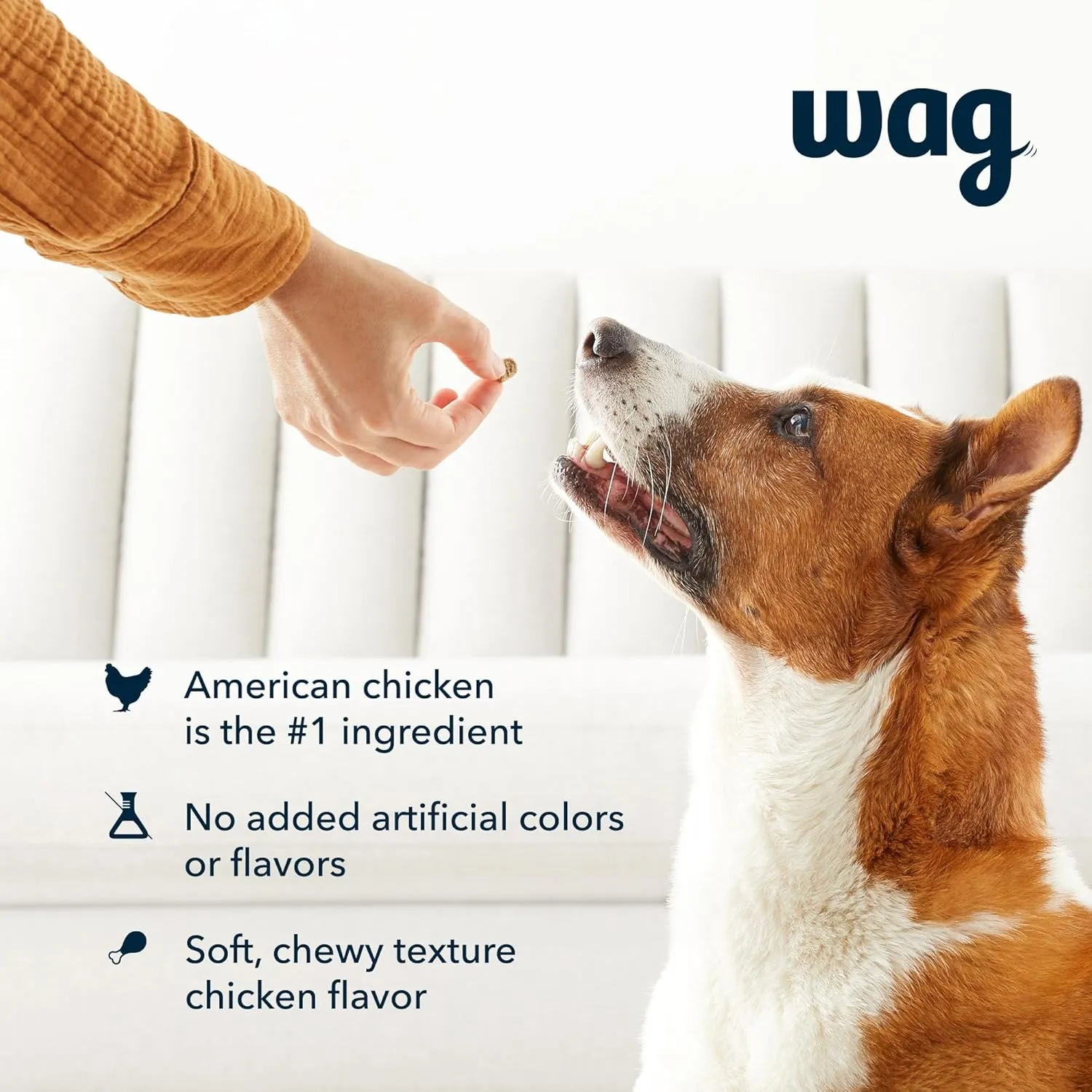 Amazon Brand  Wag Chicken Flavor Training Treats for Dogs, 1 lb. Bag (16 oz)