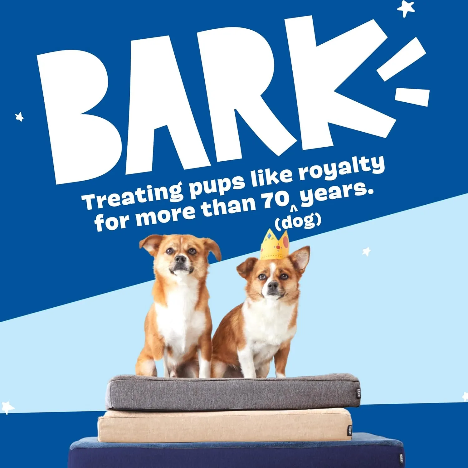 Barkbox Orthopedic Dog Bed with Memory Foam, Premium Comfort for Dogs and Puppies, Dog Bed for Joint Relief and Restful Sleep, Durable and Easy to Clean - Espresso, Medium