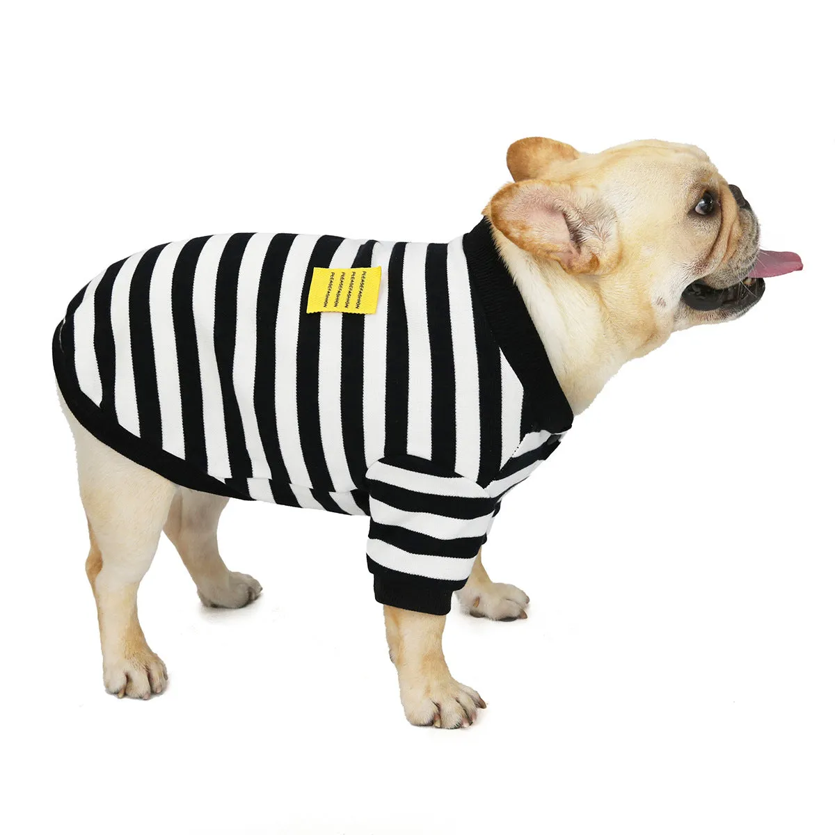 Bulldog pet clothing in autumn and winter with striped pattern