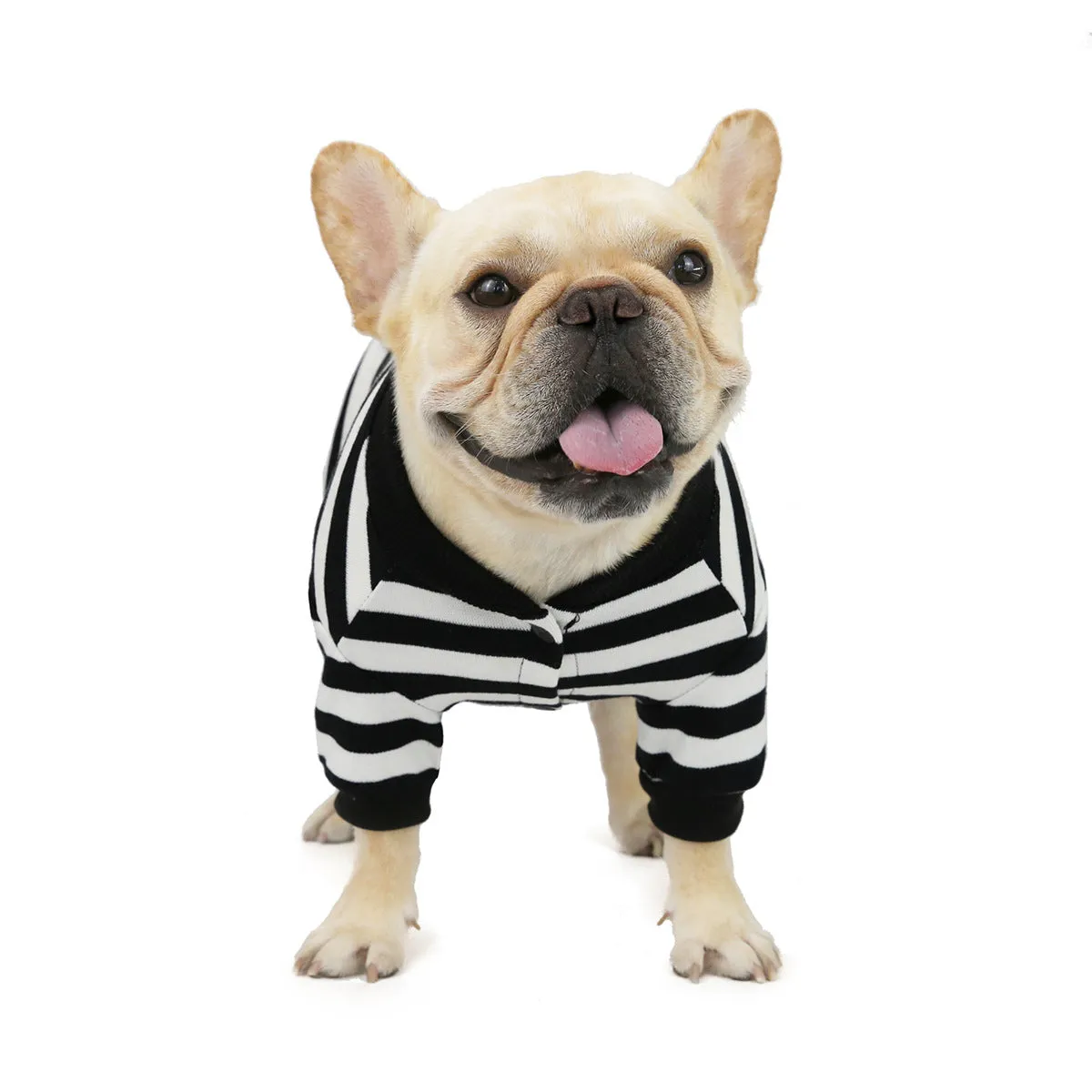 Bulldog pet clothing in autumn and winter with striped pattern