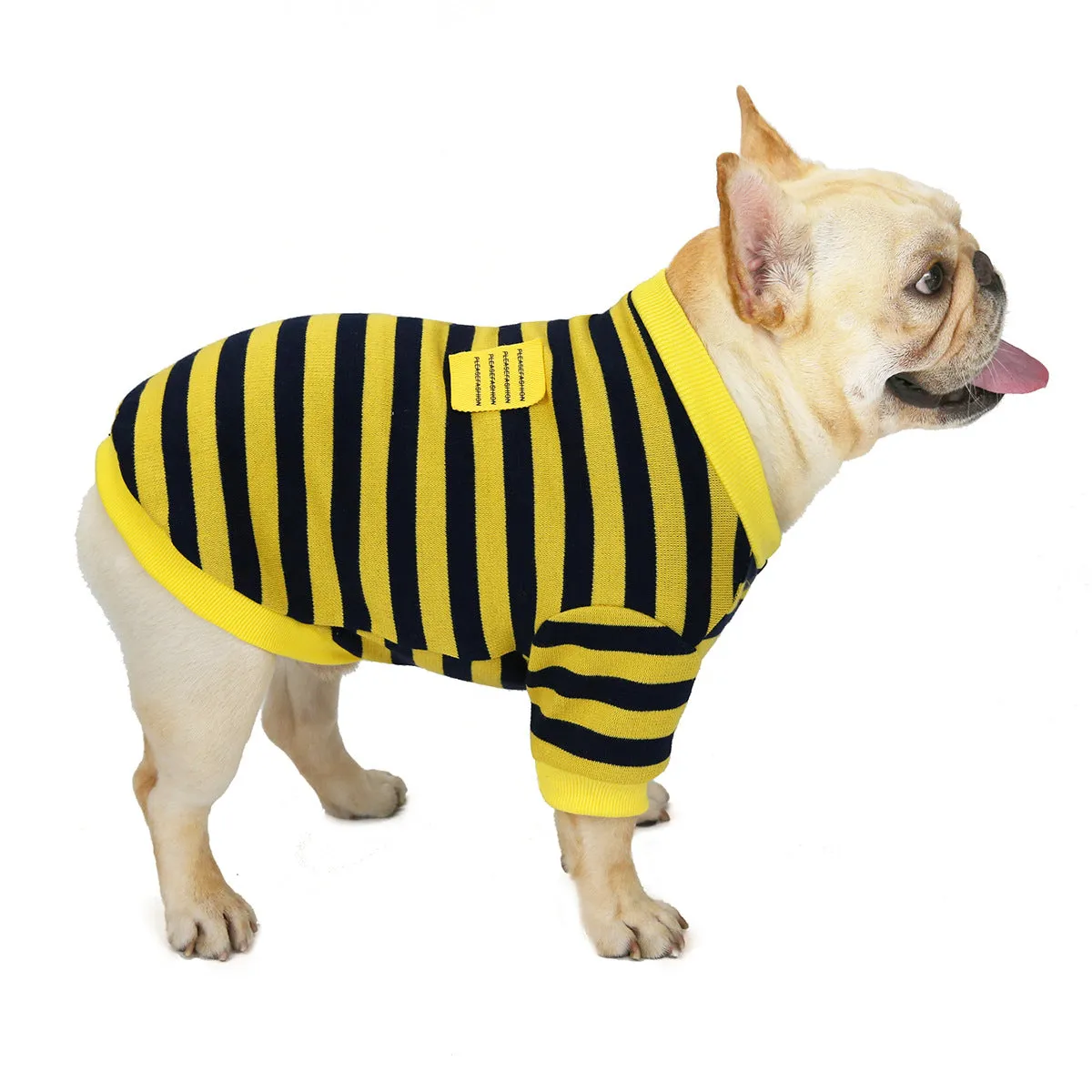 Bulldog pet clothing in autumn and winter with striped pattern