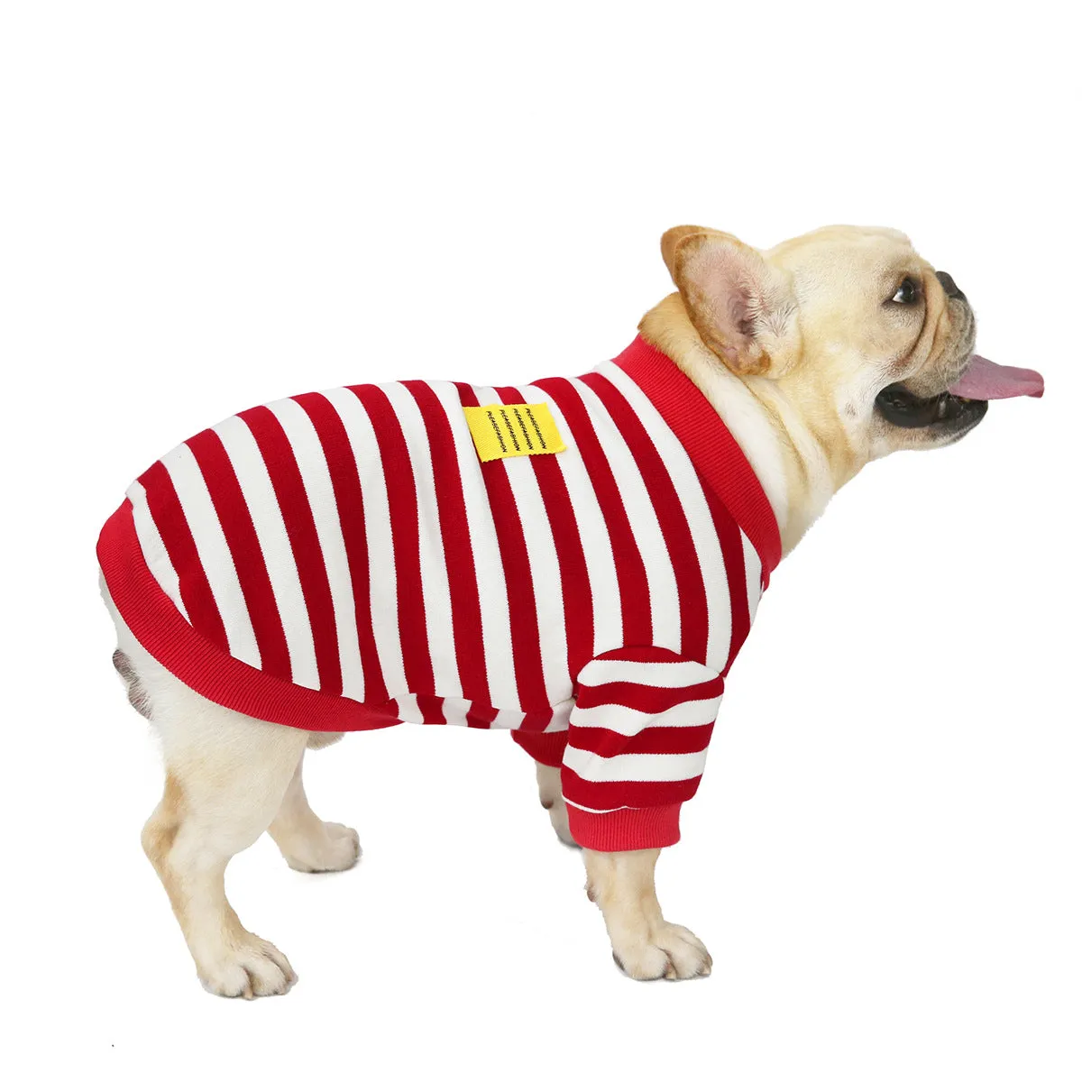 Bulldog pet clothing in autumn and winter with striped pattern