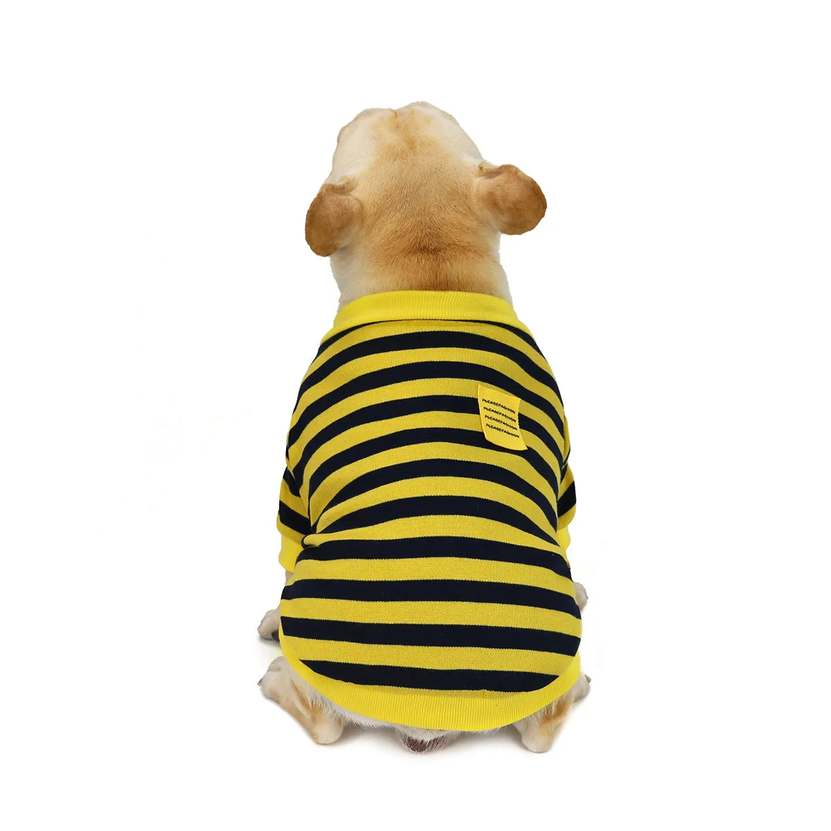 Bulldog pet clothing in autumn and winter with striped pattern