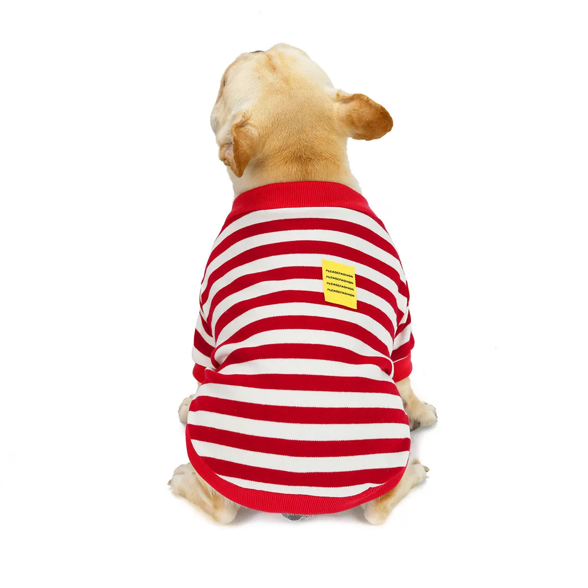 Bulldog pet clothing in autumn and winter with striped pattern