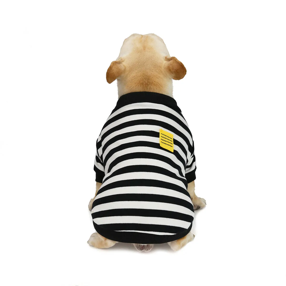 Bulldog pet clothing in autumn and winter with striped pattern