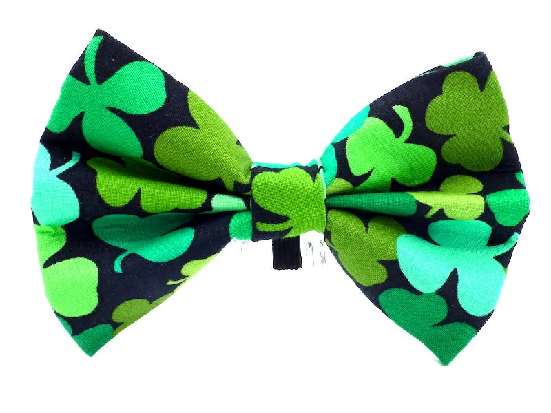 Cat & Kitten Collar Range "Ireland"