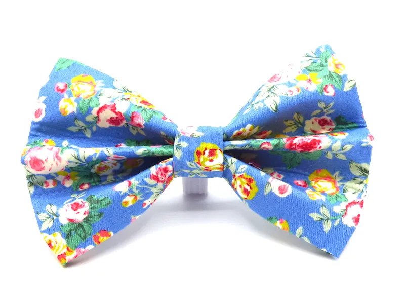 Cat & Kitten Range "Blueberry Muffin" by Mabel & Mu