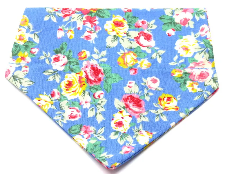 Cat & Kitten Range "Blueberry Muffin" by Mabel & Mu