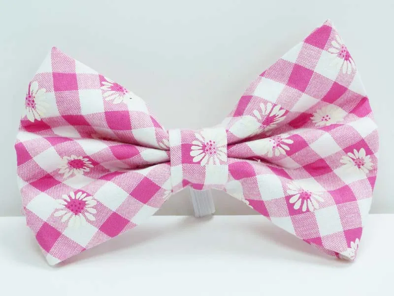 Cat & Kitten Range "Daisies" by Mabel & Mu