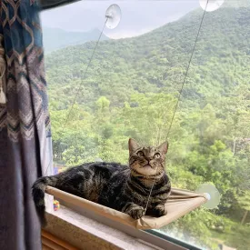 Cat Window Perch, Hammock Seat Bed - Space Saving Design, 360 Sunbath, Holds Up to 50lbs for Any Size