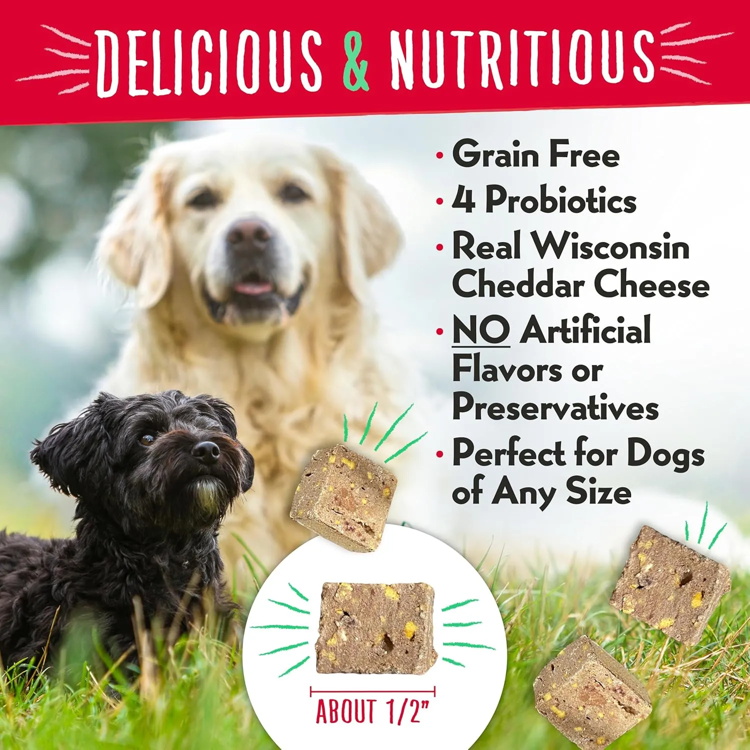 Charlee Bear Grain Free Meaty Bites Freeze Dried Dog Treats, Beef and Cheese, 2.25 Ounce Resealable Bag, Training Treats or Meal Topper Dogs, High Protein Dog Snacks, Made in USA