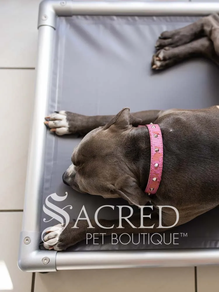 ChewProof Dog Beds