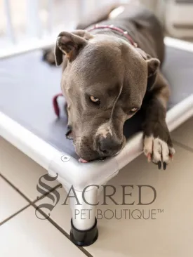 ChewProof Dog Beds