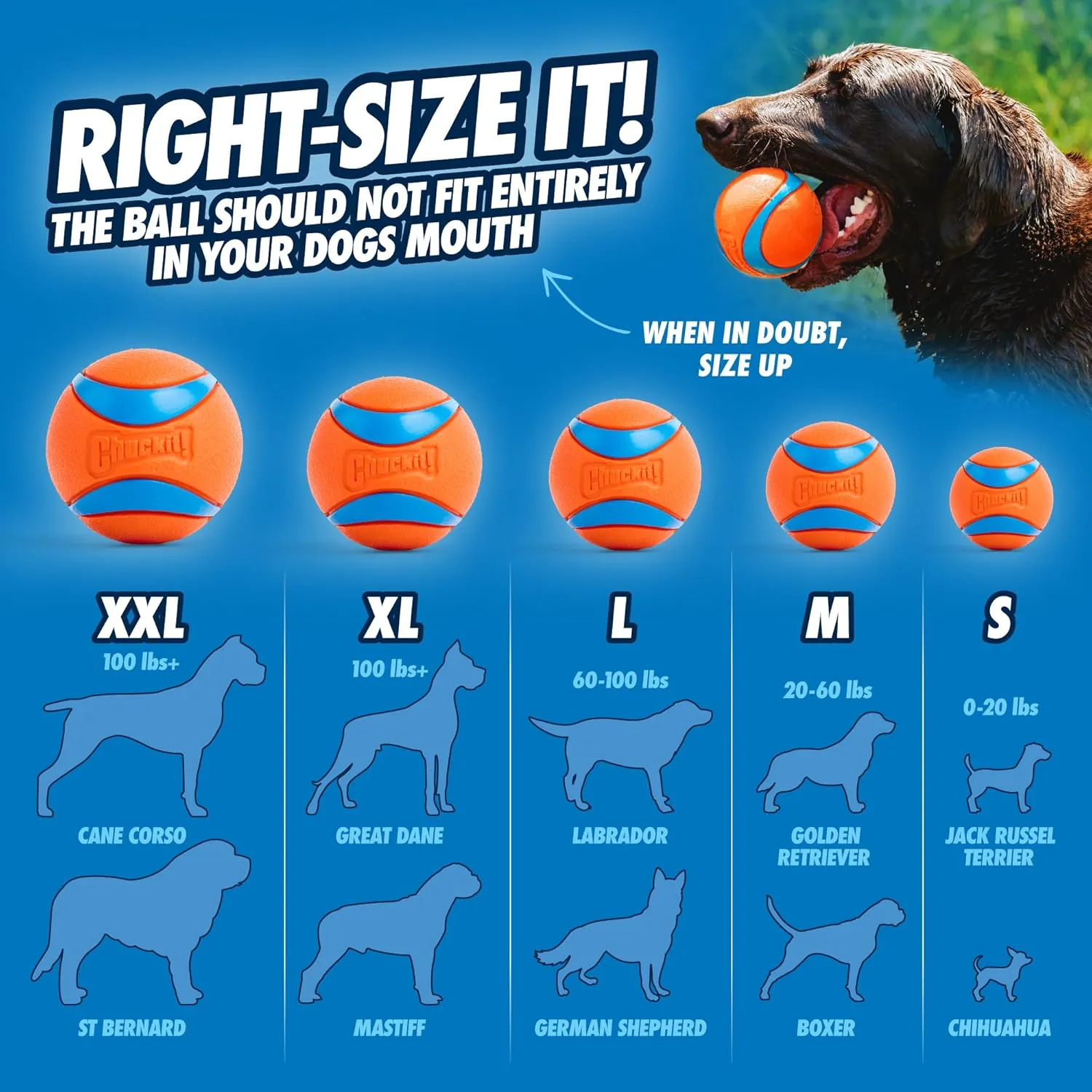 Chuckit! Ultra Ball Dog Toy - Size XXL - For Dogs 100  lbs - Made from Durable Rubber - Super Bouncy - Floats in Water - 4-inch Diameter - Pack of 1