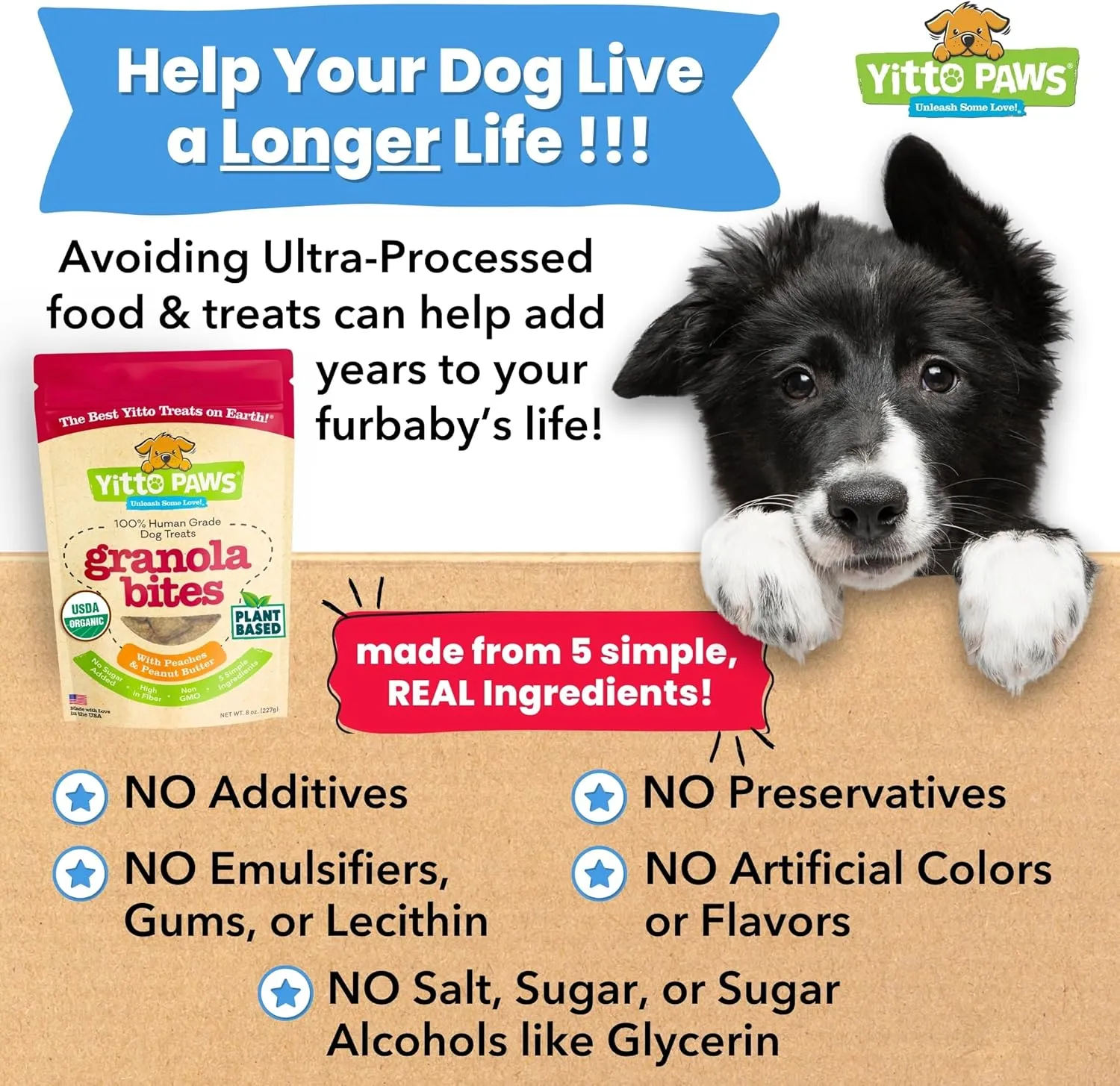 Crunchy Organic Peanut Butter Dog Treats, Peach & Oats Healthy Dog Treats, Vegan All Natural Dog Training Treats Made in USA Only  Low Calorie, Human-Grade No Sugar Added Dog Biscuits