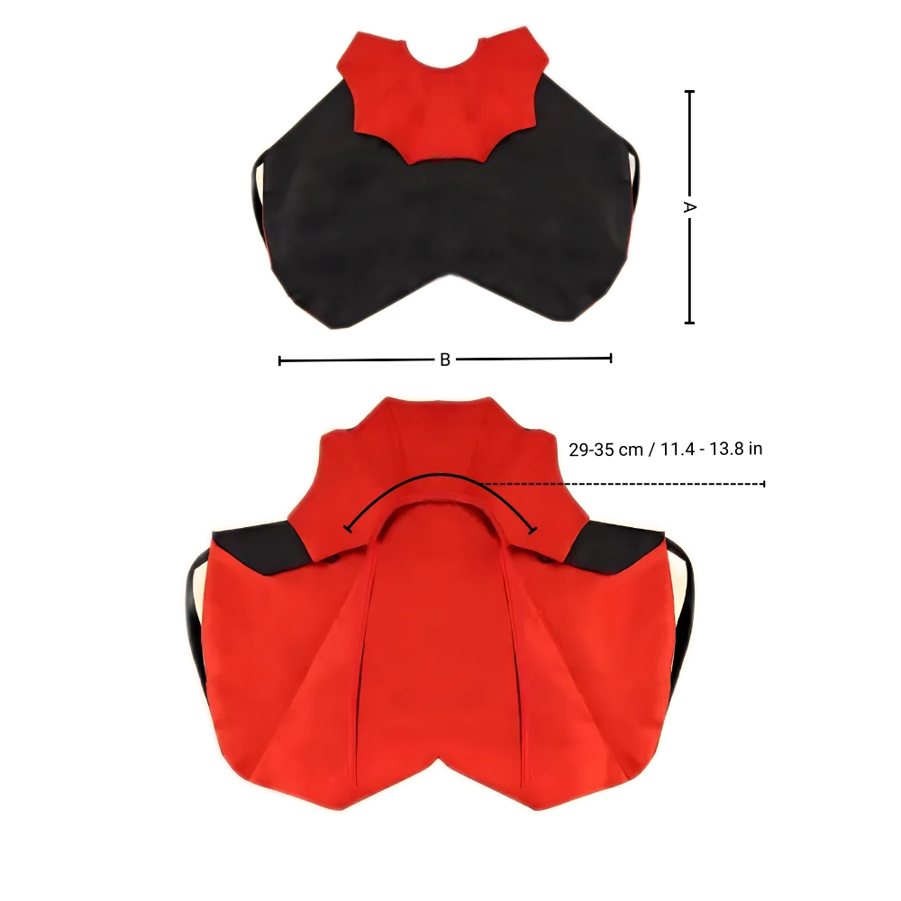 Cute Dracula Halloween Pet Costume