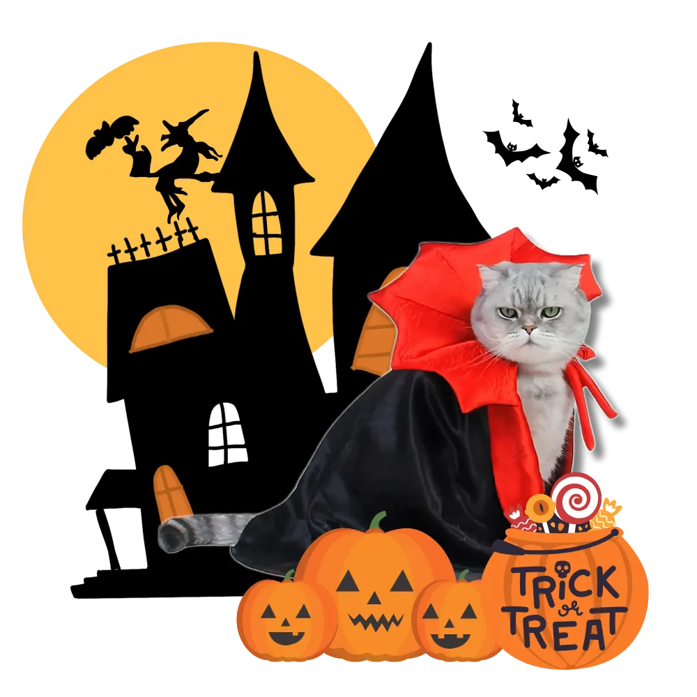 Cute Dracula Halloween Pet Costume