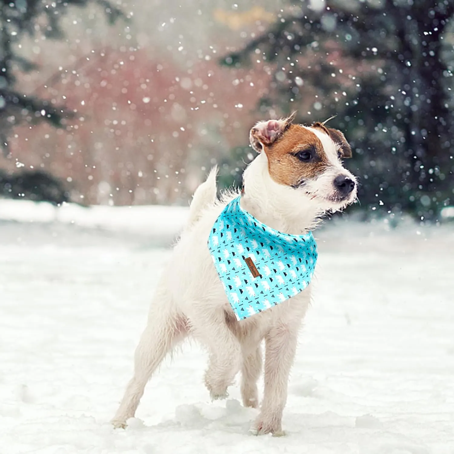 Dog Bandana - 1Pack Blue Bear Print Washable Dog Scarf Female or Male Square Dog Bib Kerchief Scarf Adjustable Pet Bandana for Small Medium Large Dogs