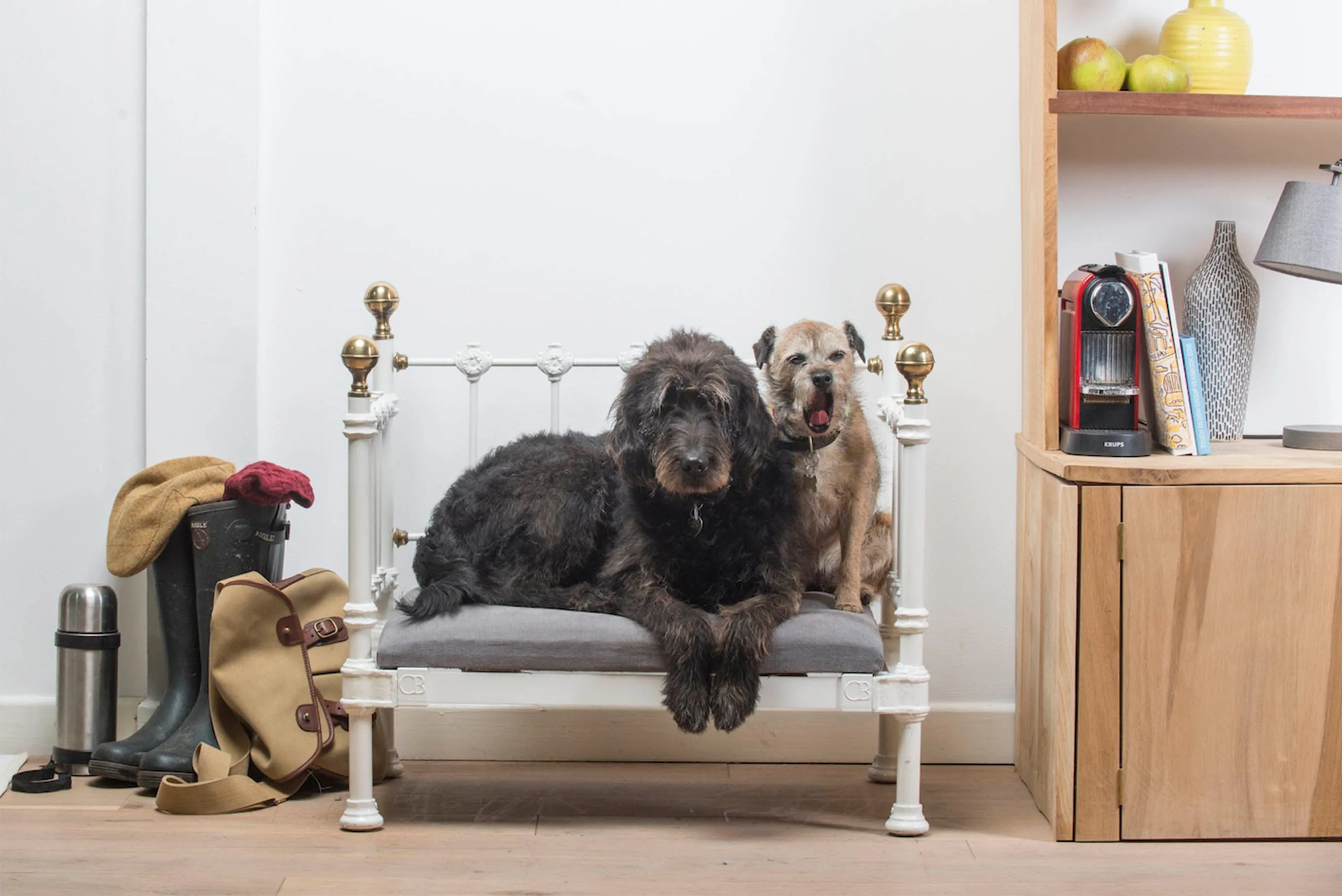 Dog Day Bed
