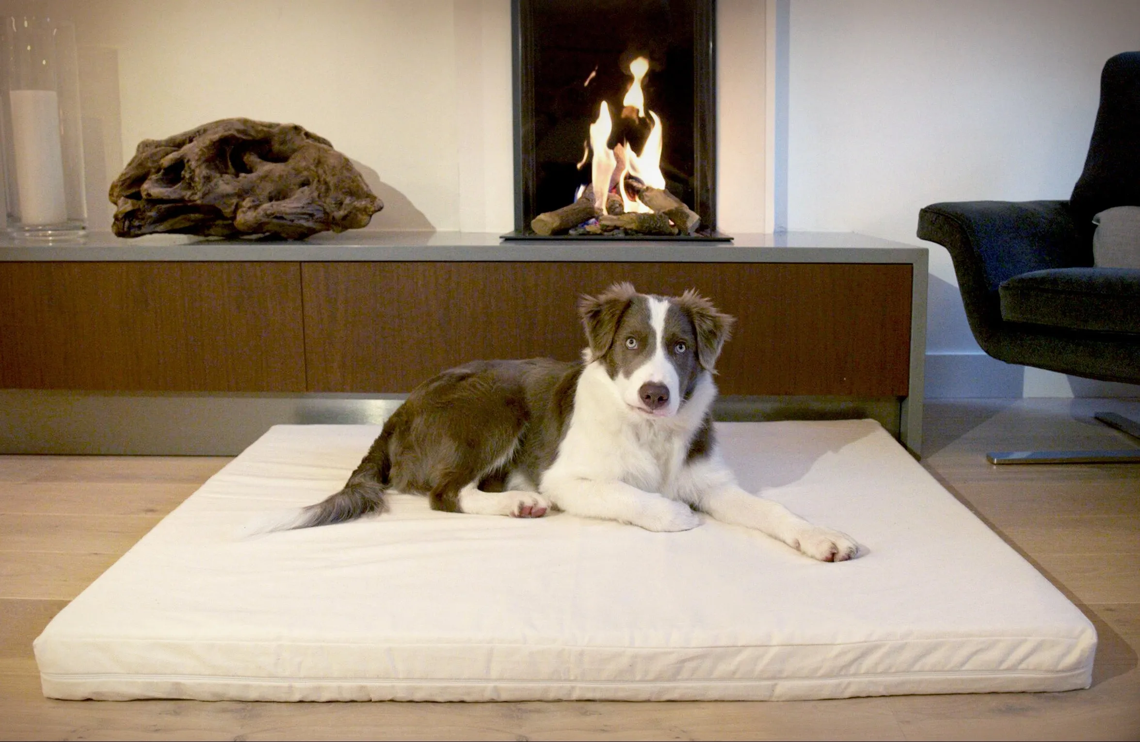 Dr. Dobias Healthy Dog Bed