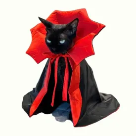 Dracula Pet Halloween Costume