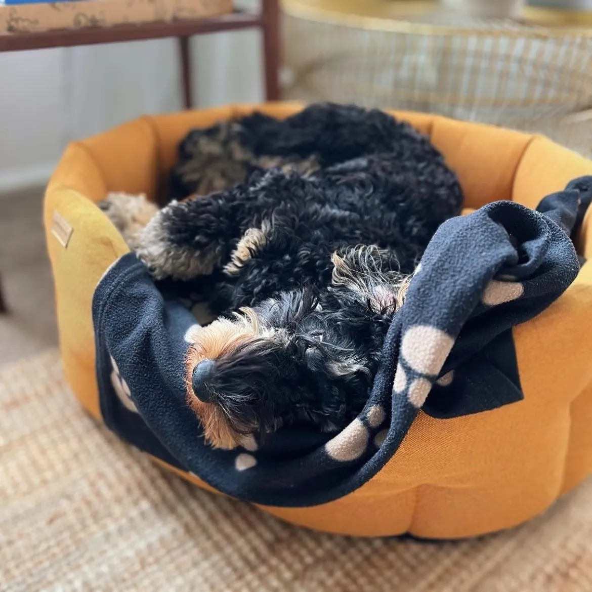 Earthbound Mustard Yellow Dog Bed