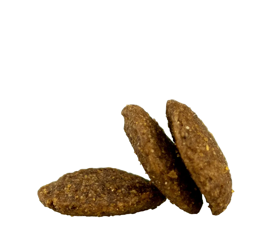 Fit & Well Senior Dog Food