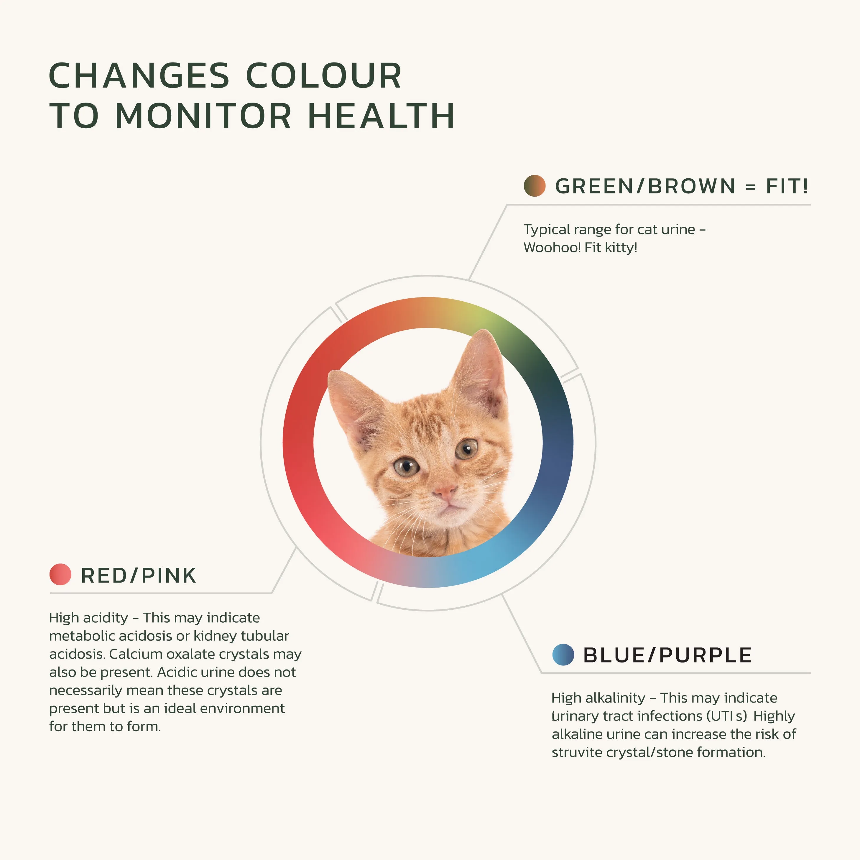 Fit Litter Eco - 1 Month Supply - 1 Cat