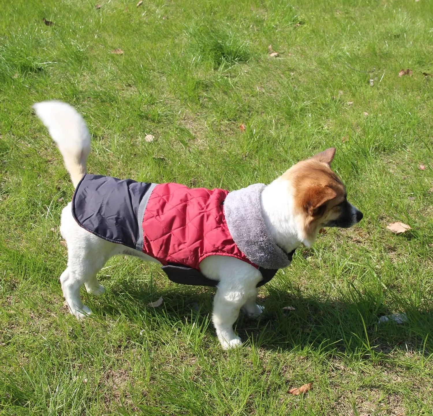 Fleece Collar Reversible Dog Coats for Small Dogs Waterproof Warm Puppy Jacket for Cold Winter,Red S
