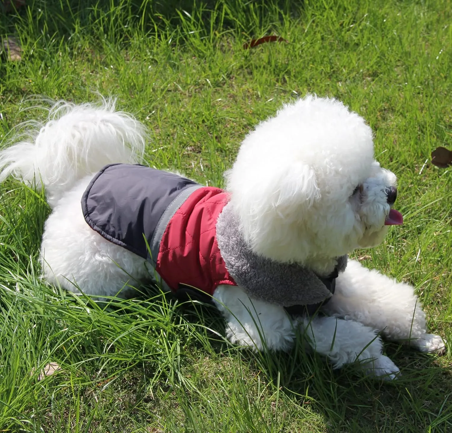 Fleece Collar Reversible Dog Coats for Small Dogs Waterproof Warm Puppy Jacket for Cold Winter,Red S