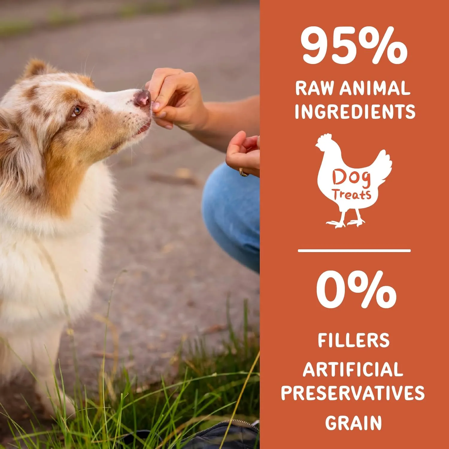 Freeze Dried Raw Dog Treats,Chicken&Chicken Liver,Great for Puppy Training Treats or Dog Meal Food Toppers, High Protein, Low Calorie,Grain Free, 6.35 oz