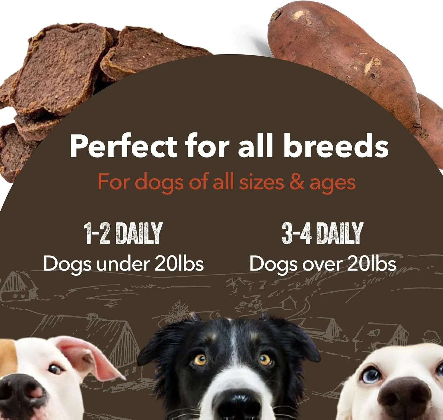 Gaines Family Farmstead Sweet Potato & Pork Dog Treats  Tastes Like Bacon, Natural, Grain-Free, High Protein, Limited Ingredient, Healthy Chews and Training Treats for Dogs, Made in USA, 6 oz