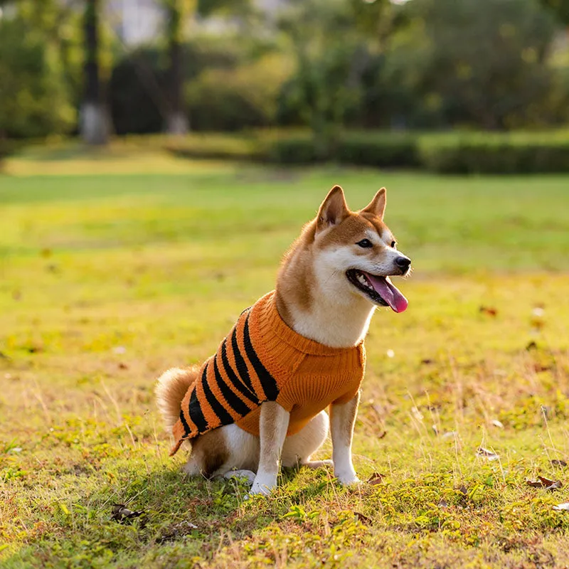 Halloween Dog Sweaters or Pet Costumes