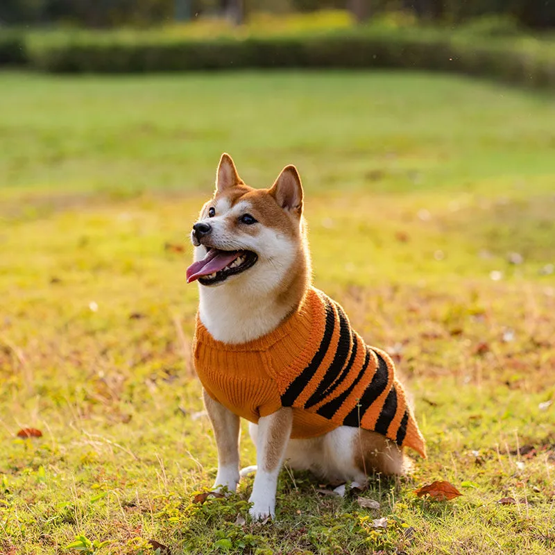 Halloween Dog Sweaters or Pet Costumes