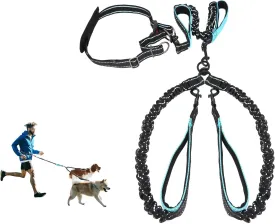 Hands Free Dog Leash, Double Dog Leash for Comfortable Walking Jogging Training Hiking, Long Padded No Tangle 360 Swivel Clasp Adjustable Dual Lead Leashes