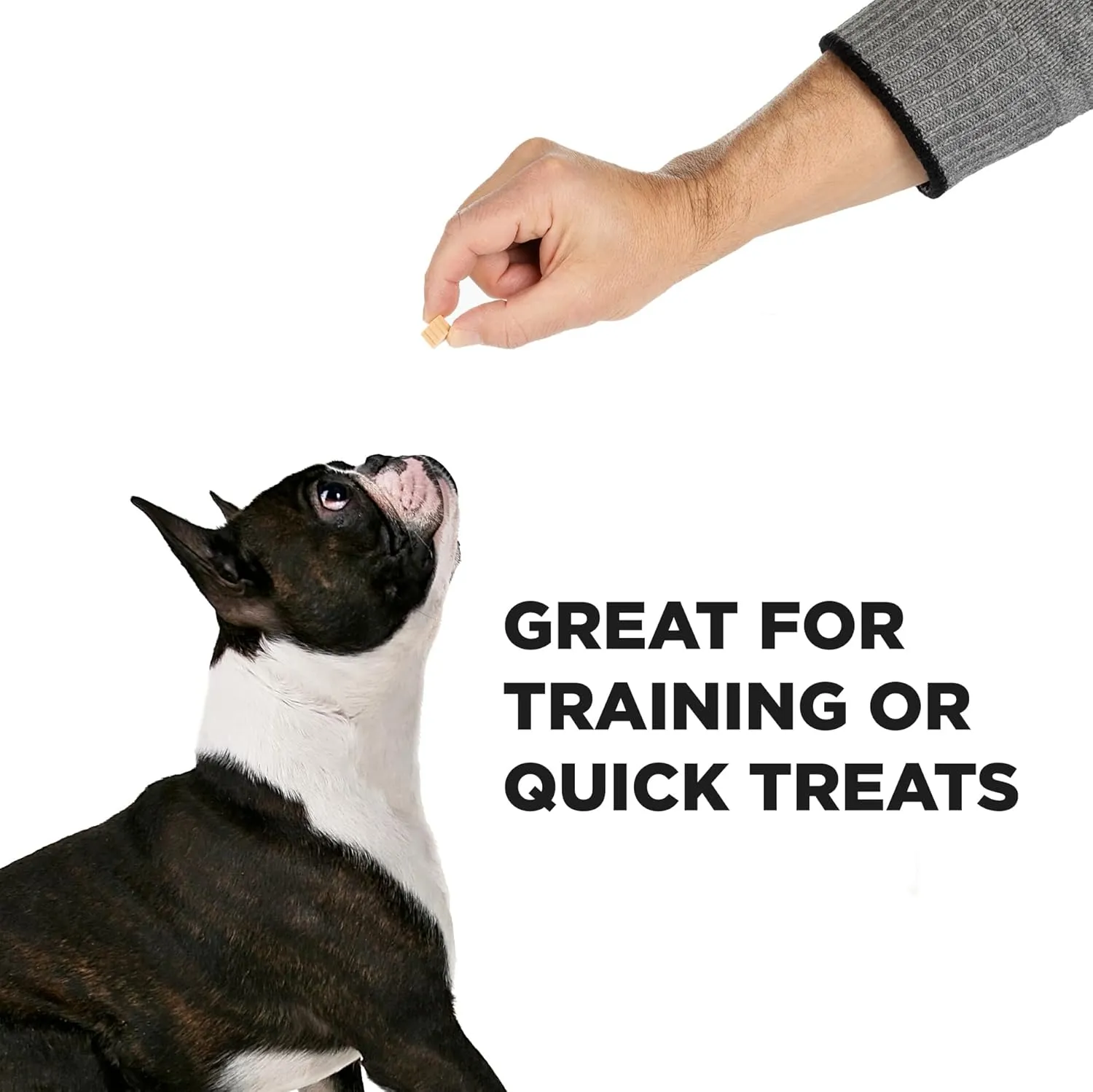 Hive Dog Training Treats 2 Pack  Healthy, Non-GMO Project Verified, Natural Peanut Butter Flavored, Vegetarian, Grain Free Dog Treat for Small and Large Dogs, Made in The USA