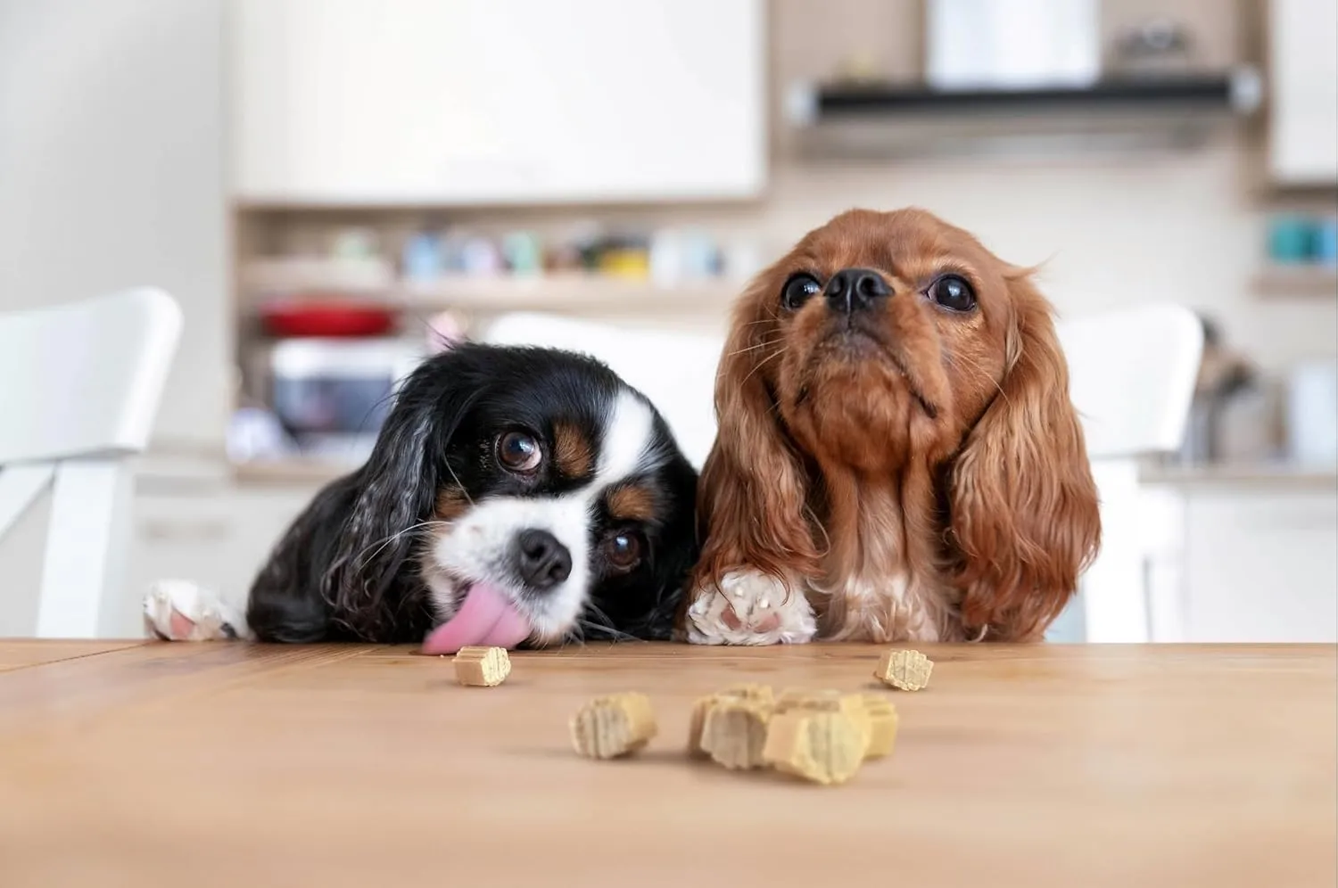 Hive Dog Training Treats 2 Pack  Healthy, Non-GMO Project Verified, Natural Peanut Butter Flavored, Vegetarian, Grain Free Dog Treat for Small and Large Dogs, Made in The USA