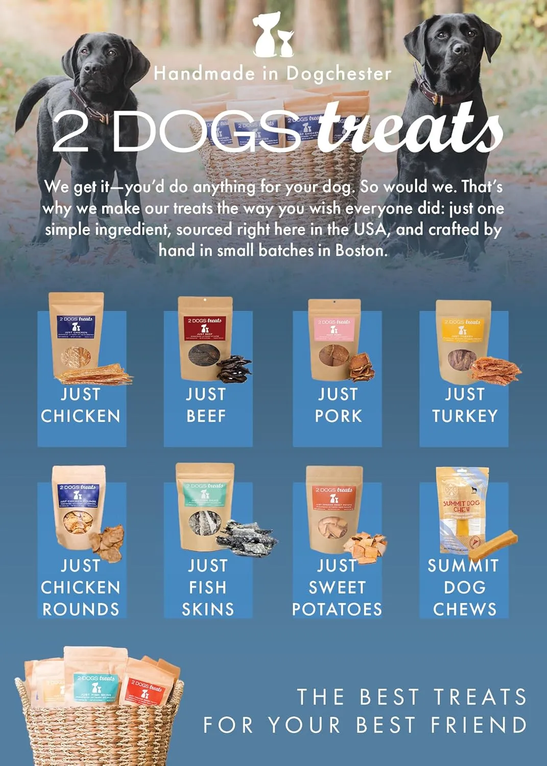 Just Chicken Jerky | 100% USA-Sourced, Single-Ingredient, Great for Sensitive Stomachs, Human-Grade USDA Chicken, Grain-Free, Allergy-Friendly, High Value for Training | 2 Pack