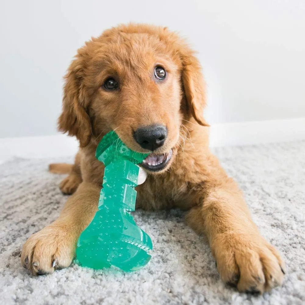 KONG Squeezz Dental Ball - Dog Toy for Cleaning Teeth - Flexible Chew Toy for Gentle & Mild Chewers - for Medium/Large Dogs