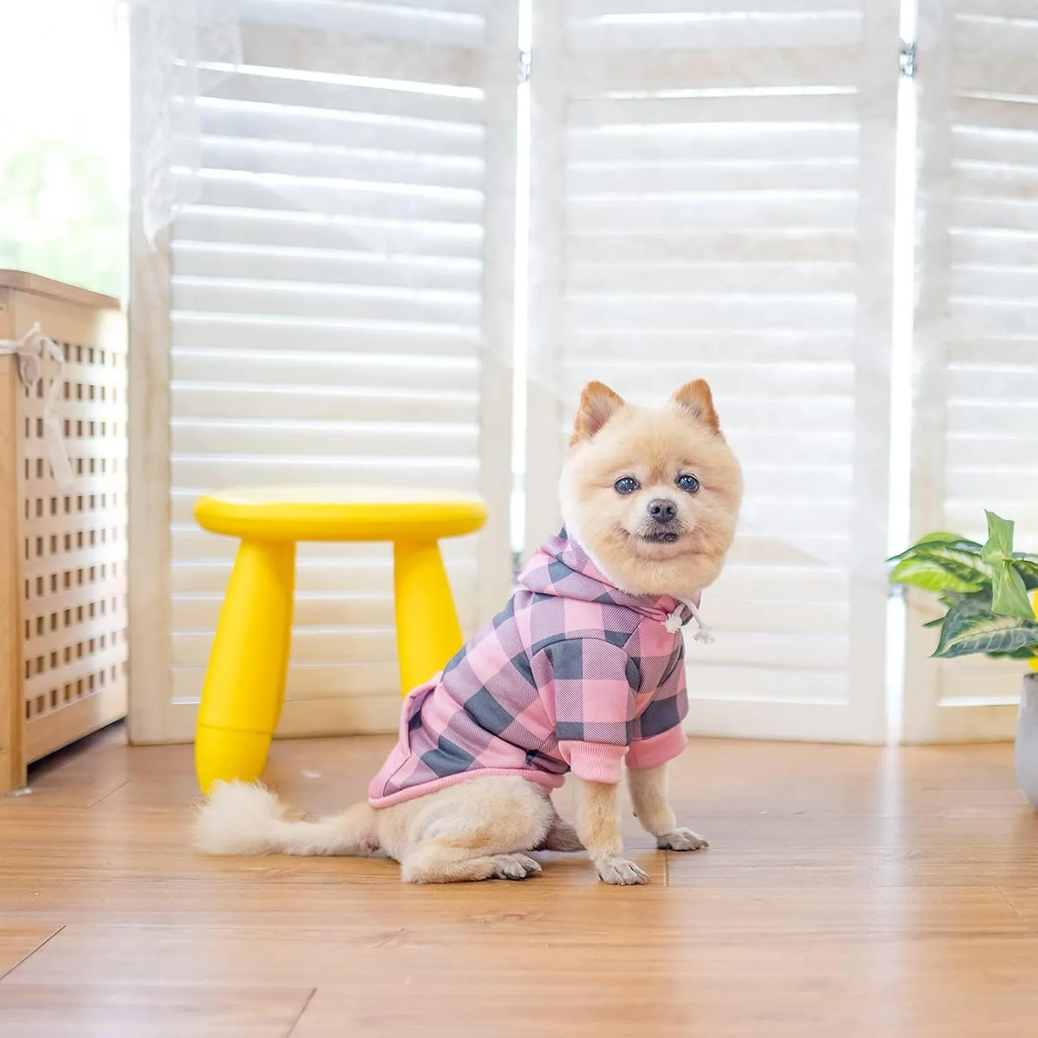 KOOLTAIL Plaid Dog Hoodie Pet Clothes Sweater with Hat and Pocket for Small Medium Large Size Dogs, Soft Winter Warm Dog Cold Weather Coat, Fleece Fall Dog Hooded Sweatshirt for Puppy Cats, Pink S
