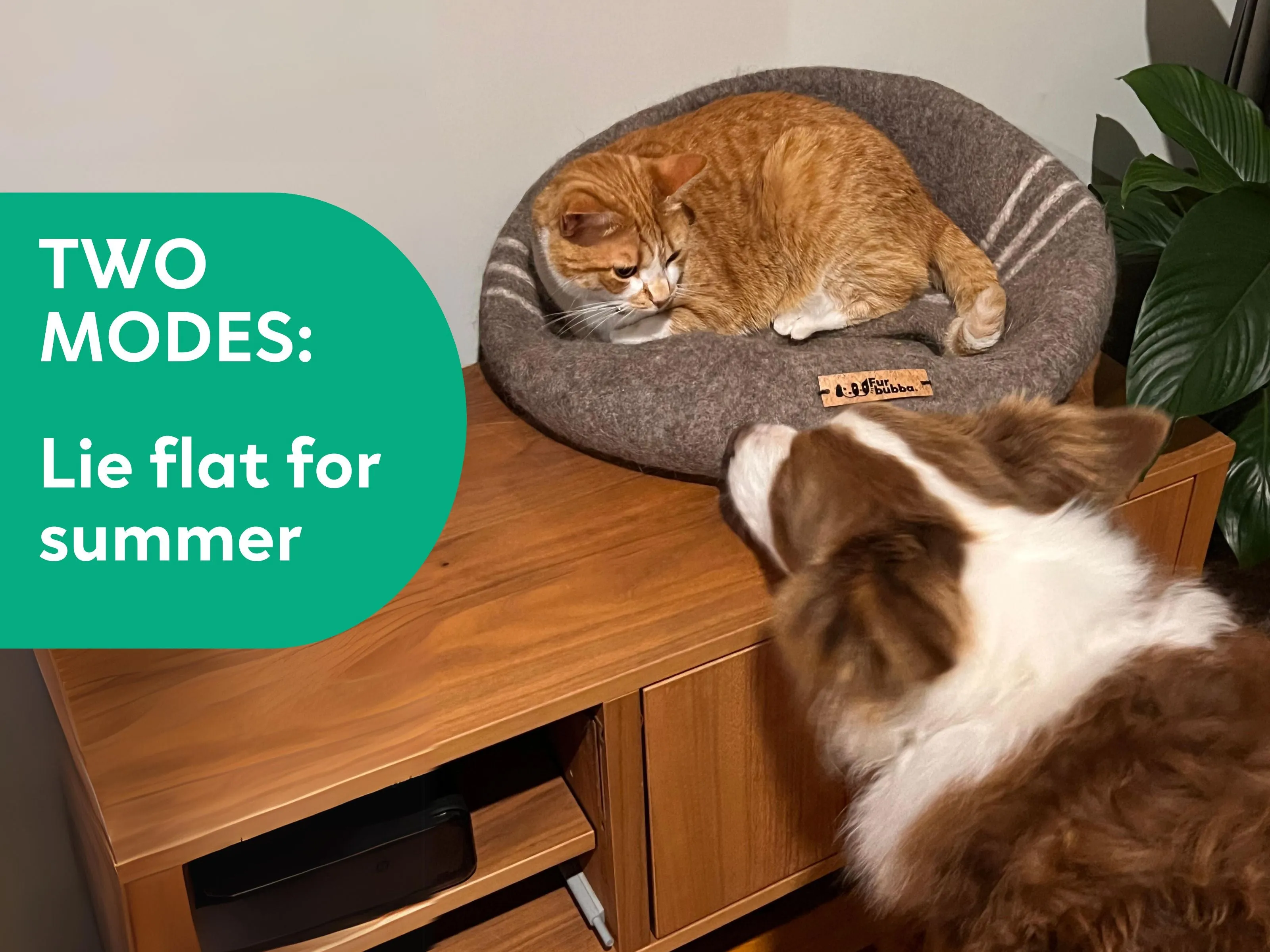 Large Premium Round Cat Cave
