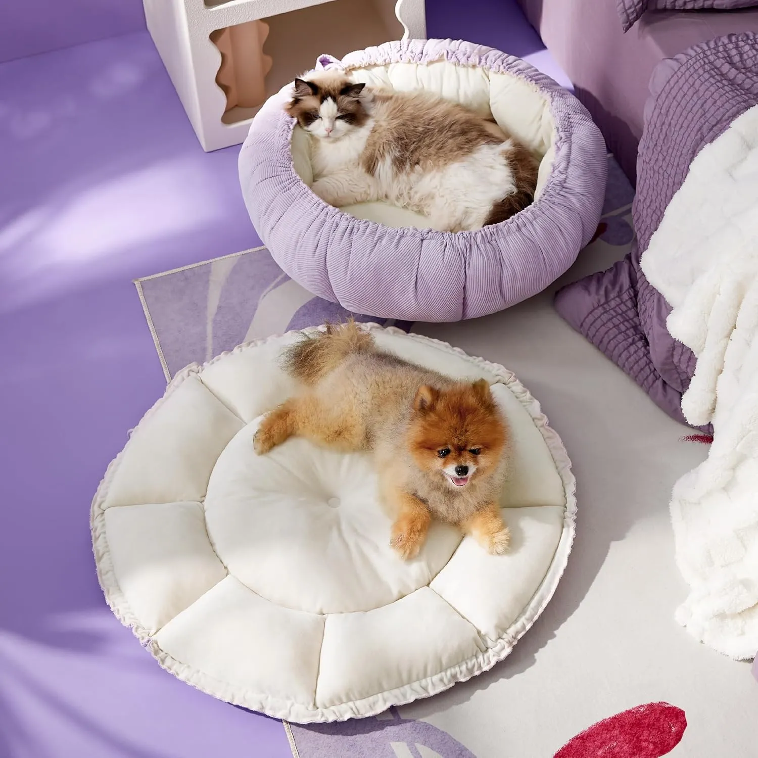 Lesure Dog beds for Small Dogs - Washable Cute Cat Beds with Versatile Dual-Use Design, Reversible Round Pet Bed for Puppy and Kitten, 25x25x8 Inches