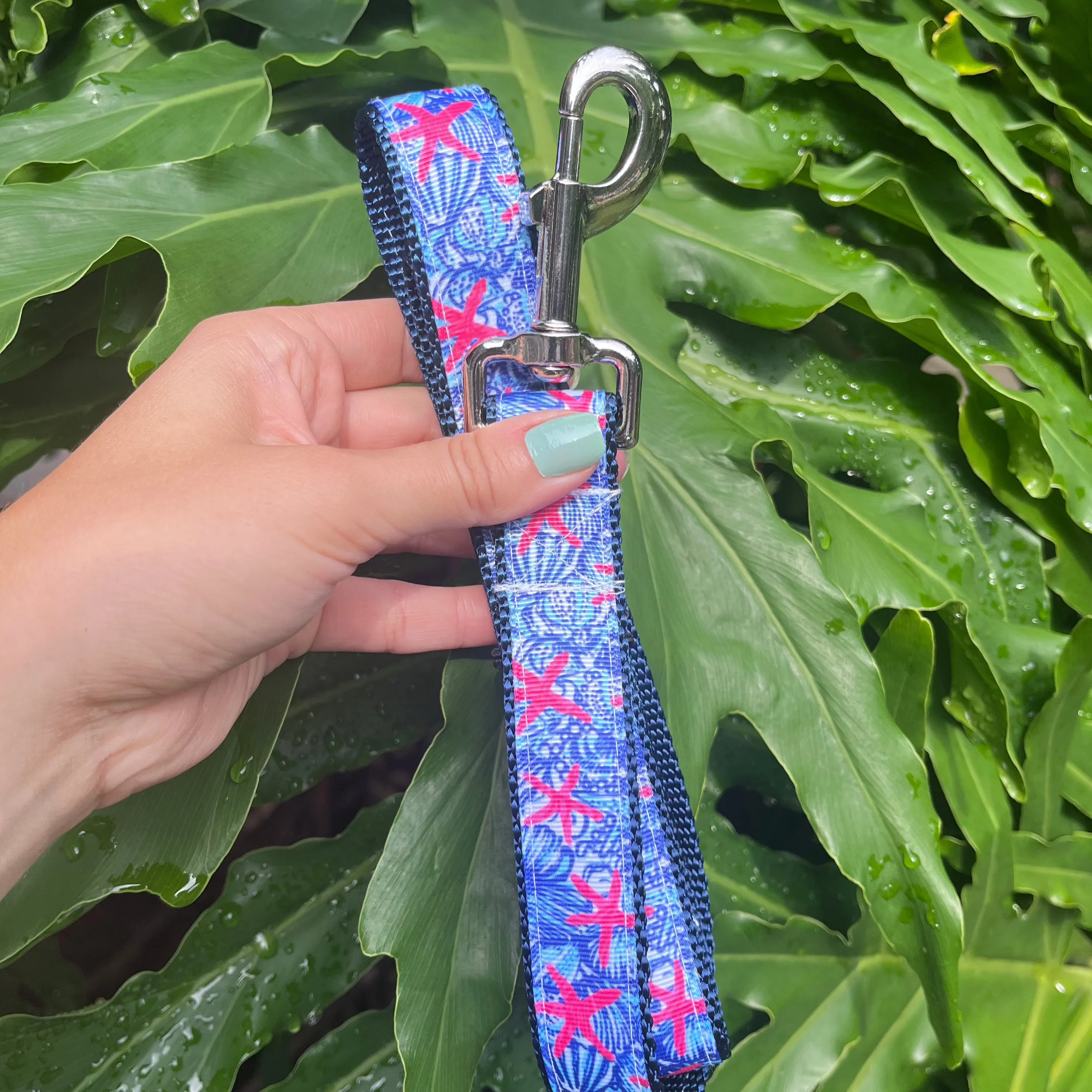 Lilly Inspired Starfish Dog Leash