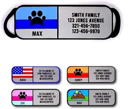 LYP Soundless Slide-On Collar Dog ID Tag - Designer Deep Engraved Silicone  Engraving Will Last - Pet ID Tags, Dog Tags, Cat Tags (Paw - Blue, Medium)
